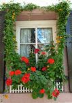 P1020934 fenster.jpg