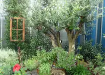 P1020819 fenster.webp