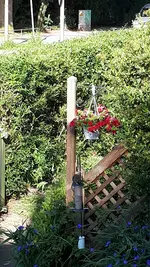 20190625_083659.webp