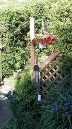 20190625_083705.jpg