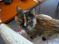 IMGP7998.webp