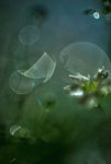 0M3A0126.jpg