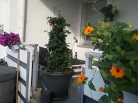 1561482309521136410553.webp