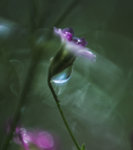 0M3A0119.jpg