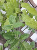 20190623_200304.webp