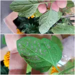 20190625_213746.webp