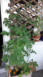 20190625_214548.webp