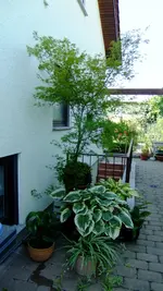 2018_0820durchgang30002.webp