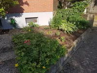 20190626_080954.webp