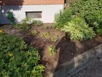 20190626_080958.webp