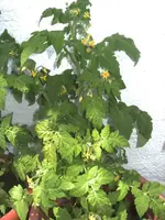 BILD1213.webp