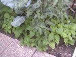 BILD1228.JPG