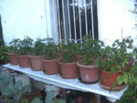 BILD1235.JPG