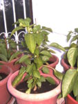 BILD1236.JPG