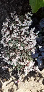 20190626_141726.webp