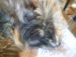 PIC_0888.JPG