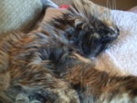 PIC_0889.JPG