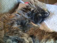 PIC_0889.webp