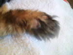PIC_0892.JPG