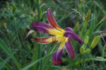 DSC07882.JPG