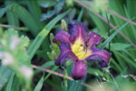 DSC07884.JPG
