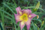 DSC07886.JPG