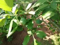 IMG_20190627_110705.webp