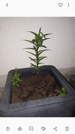_20190627-153914_.webp