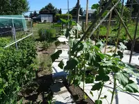 k-DSC01246.webp