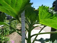 k-DSC01244.webp