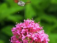 DSCF2401 (2).webp