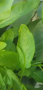 20190627_192630.webp
