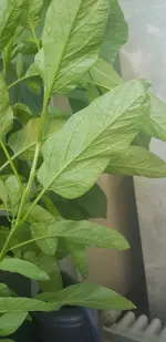 20190627_192537.webp