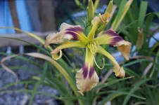 DSC07898.webp