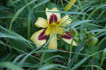 DSC07894.JPG