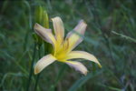 DSC07895.JPG