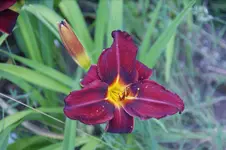 DSC07896.webp