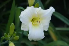 DSC07900.webp