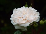 0109AB47-0BB3-47EC-8A74-A91E93B782D7.jpeg