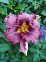 IMG_20190627_192906.webp