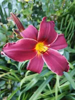 IMG_20190627_193145.jpg
