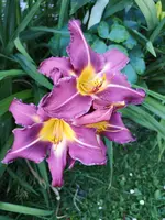 IMG_20190627_193152.webp