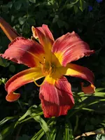 IMG_20190627_193213.webp
