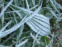 IMG_9572 v (2).webp
