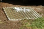 DSC07925.JPG