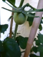 P1060062.webp P1060062.webp