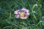 DSC07918.JPG