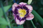 DSC07917.JPG