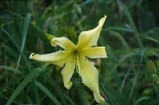 DSC07915.webp