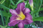 DSC07909.JPG
